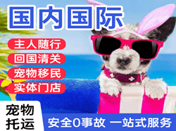 烟台机场邮寄国际宠物托运 【国